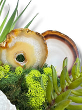 Load image into Gallery viewer, Faux Succulent Arrangement in Concrete Base with Geode and Agate Accents