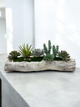 Load image into Gallery viewer, Faux Succulent Garden in Driftwood cast Vessel – Organic Tabletop Accent for Natural Interiors

