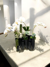 Load image into Gallery viewer, Sculptural Orchid &amp; Succulent Arrangement in Black Organic Vase – Modern Botanical

