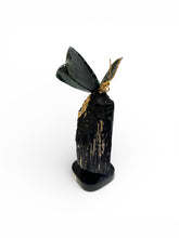 Load image into Gallery viewer, Black Tourmaline Butterfly Sculpture
