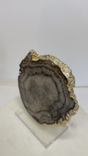 Load and play video in Gallery viewer, Polished Agate Geode Slice – Cream &amp; Brown with Gold Electroplated Edge
